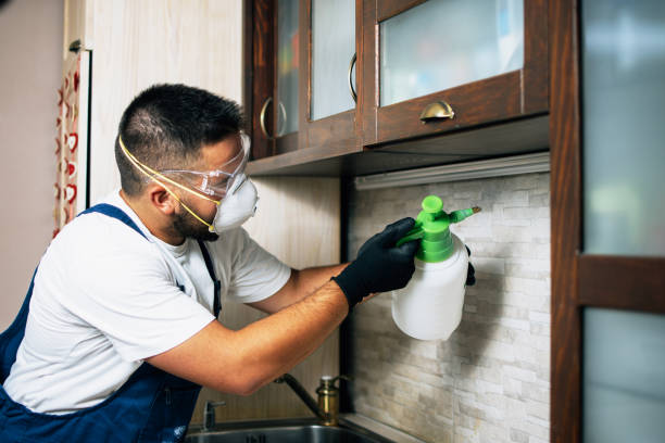 Reliable Blythe, CA Pest Control Solutions